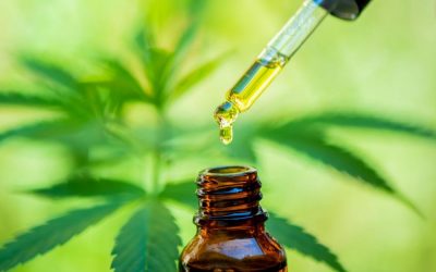 Les meilleurs sites ou trouver du CBD